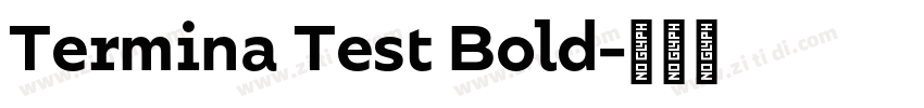 Termina Test Bold字体转换